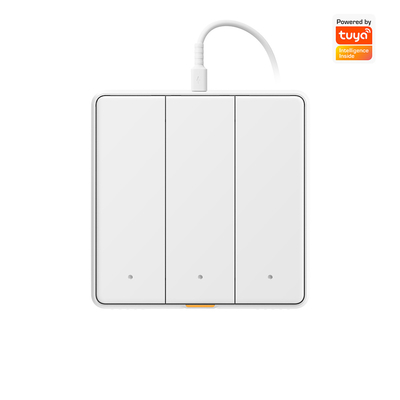 Tuya WIFI dokunmatik anahtarı C Tipi Zamanlama Sesli Uygulama ile Akıllı Ev Alexa, Google Home RF433 Akıllı AB Duvar Işığı Düğmesi Değiştiricisi
